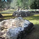 Agri Gallipoli 桑尼科拉