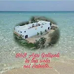 Agri Gallipoli