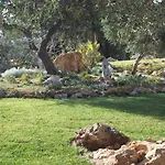 Agri Gallipoli
