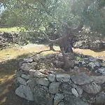 Agri Gallipoli 住宿加早餐酒店 桑尼科拉