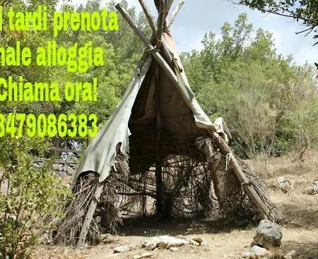 Agri Gallipoli Bed & Breakfast Sannicola