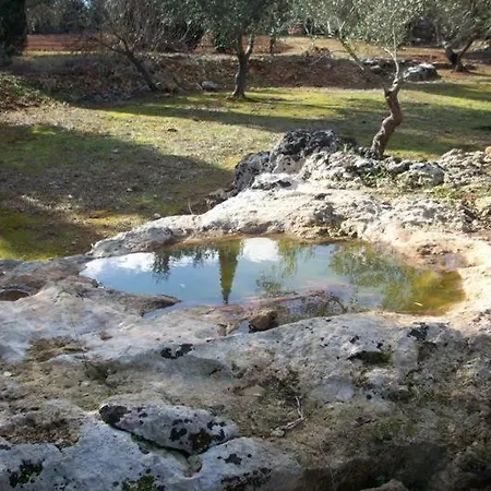 Agri Gallipoli * Sannicola