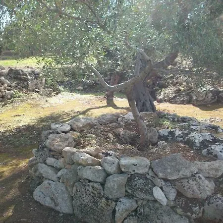 Agri Gallipoli Bed & Breakfast Sannicola