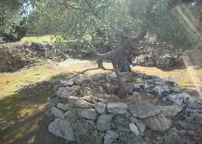 Agri Gallipoli Bed & Breakfast Sannicola